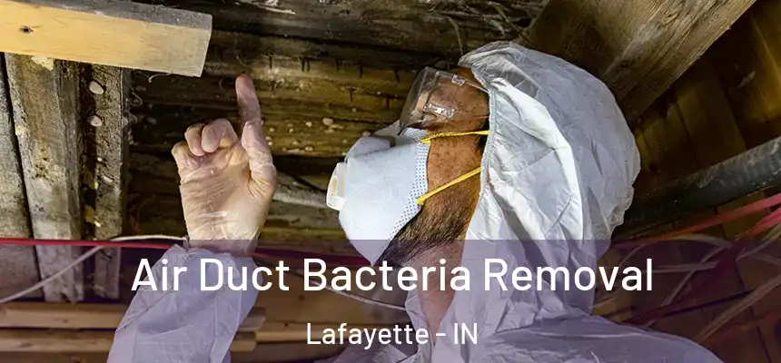  Air Duct Bacteria Removal Lafayette - IN