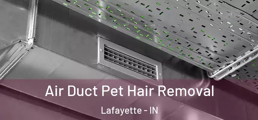  Air Duct Pet Hair Removal Lafayette - IN