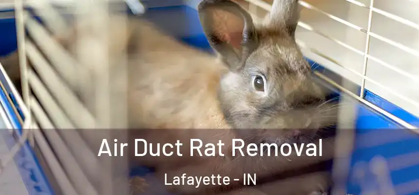  Air Duct Rat Removal Lafayette - IN