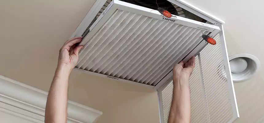 Preventive Cockroach-Proofing for Ducts in Lafayette