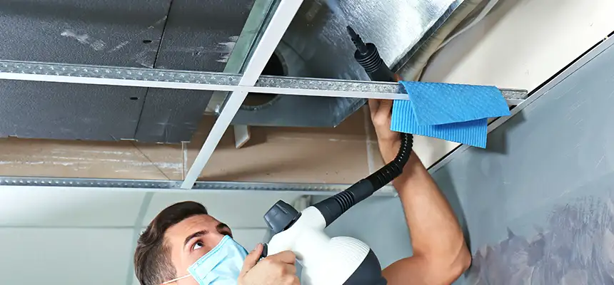 Our Air Duct Rodent Removal Services in Lafayette, IN