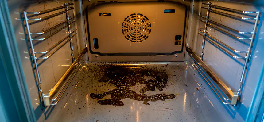 Our Dryer Vent Mold Cleaning Services in Lafayette, IN