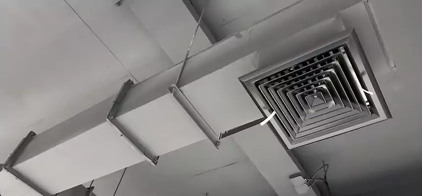 Our Rodent Droppings In Vents Services in Lafayette, IN