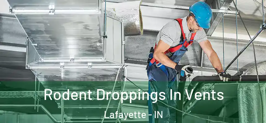 Rodent Droppings In Vents Lafayette - IN