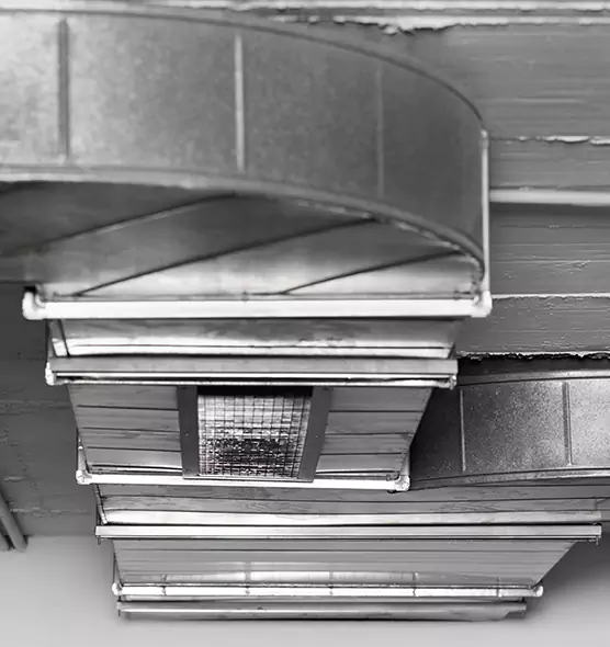 Professional Air Duct Pet Hair Removal in Lafayette, IN