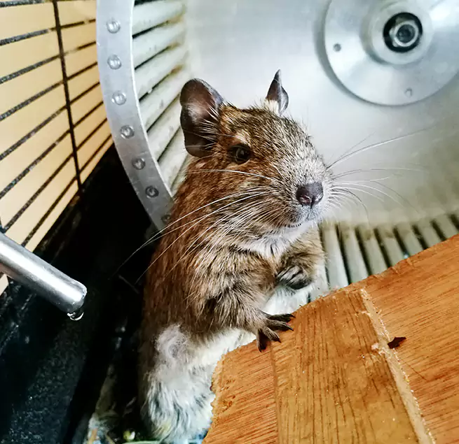 Why Homeowners & Businesses Trust Us Lafayette, IN?